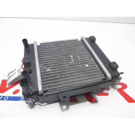 Radiator Kymco Grand Dink 125 2010