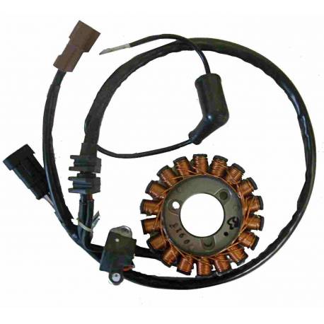 Stator trifase 18 polos Kokusan 04168010