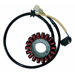 Stator para moto 12V 220W Kokusan 04168043