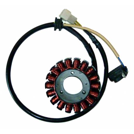 Stator 12V 220W Kokusan 04168043