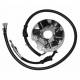 Stator 6 poles Ducati 04317310