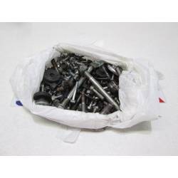 SCREWS KIT FORZA 250 EX 2009