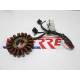 STATOR FORZA 250 EX 2009